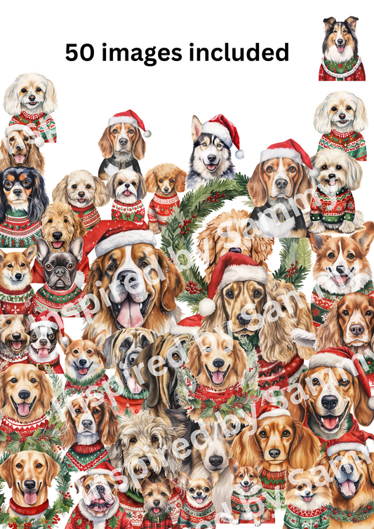 Digital Christmas jumper dog collection